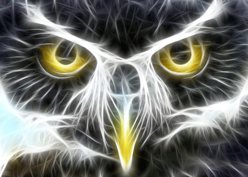 12) HIBOU