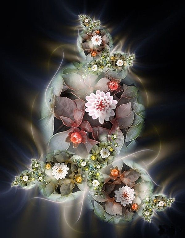 30)  FRACTAL