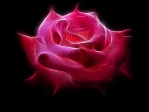 31)    ROSE FRACTAL