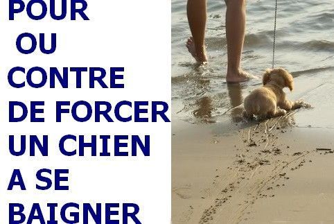 17) FAUT'IL LES OBLIGER