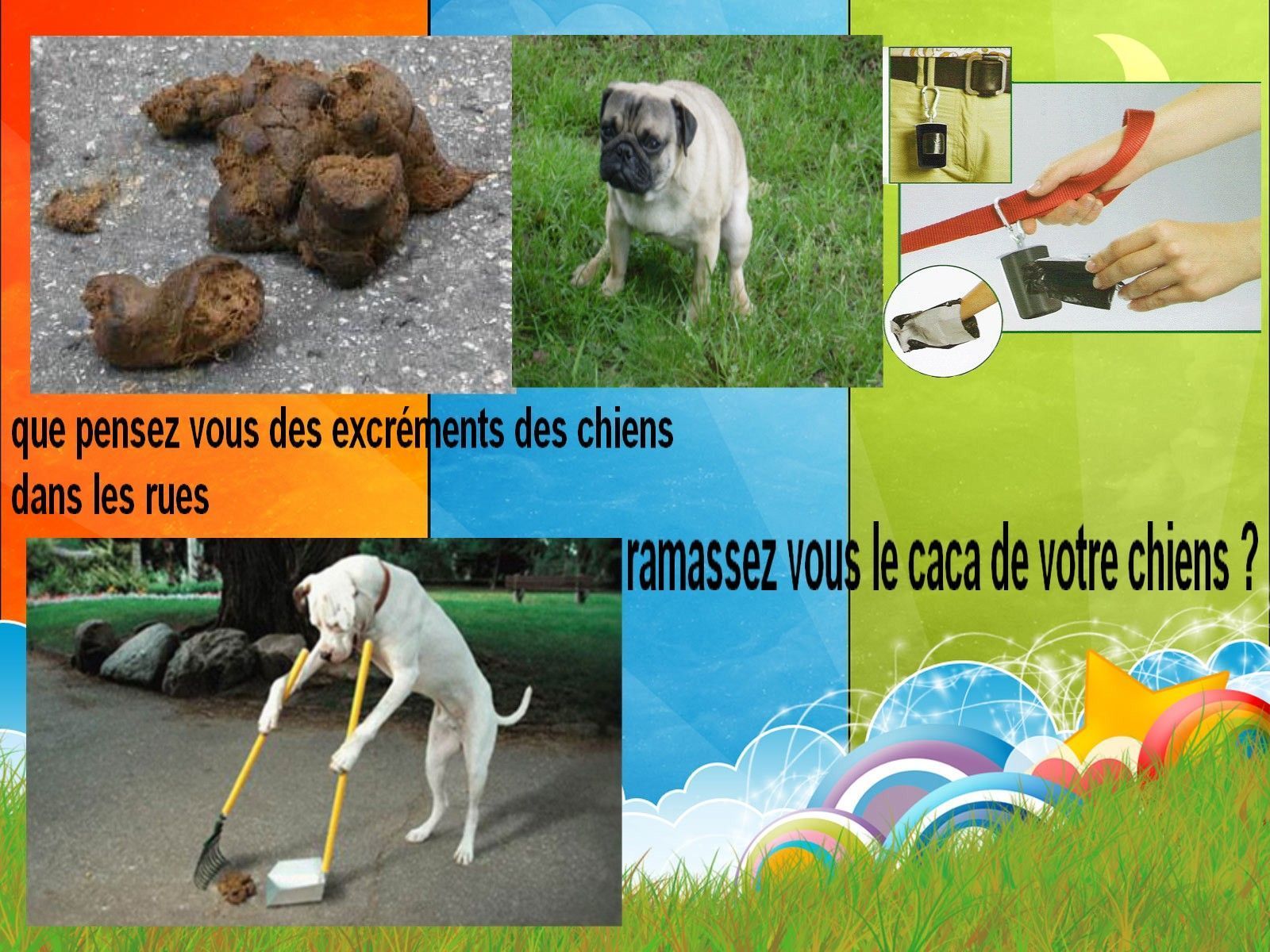 13) L'EXCREMENT DES CHIENS 
