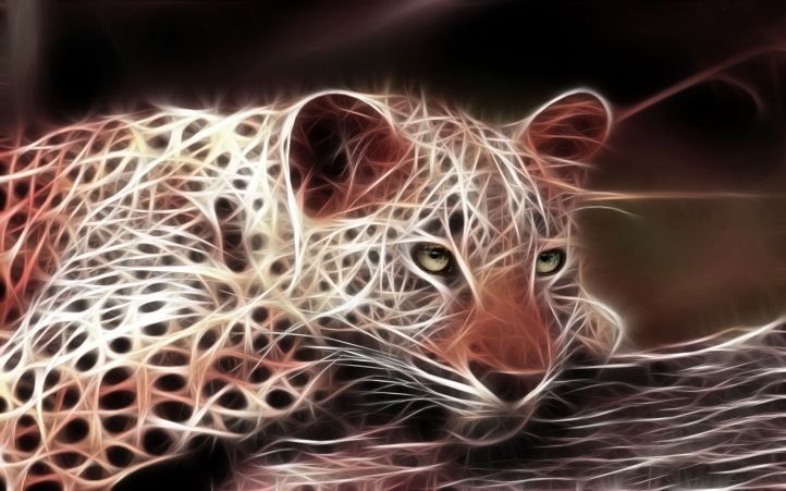 14)  LION