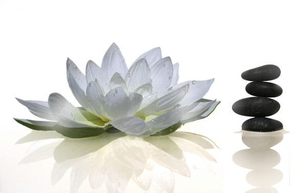 26) ZEN