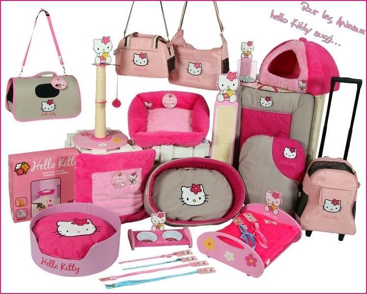 hellokitty1.jpg